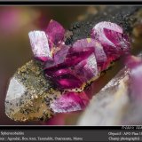 Spherocobaltite on Quartz
fov 2.2 mm
(Autor: ploum)