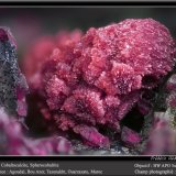 Cobaltoan Calcite and Spherocobaltite
fov 4.5 mm
(Autor: ploum)