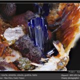 Azurite, Cerussite, Mimetite, Goethite, Barite
fov 11 mm
(Autor: ploum)