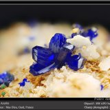 Azurite
fov 4.5 mm
(Autor: ploum)