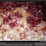 Carminite
fov 1.1 mm
(Autor: ploum)