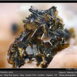Brookite and Rutile
fov 2.2 mm
(Autor: ploum)
