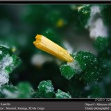 Kasolite and Malachite
fov 2.2 mm
(Autor: ploum)