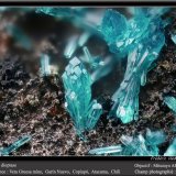 Dioptase
fov 1.5 mm
(Autor: ploum)