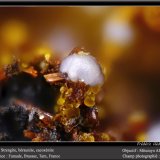 Strengite, Beraunite and Cacoxenite
fov 1.5 mm
(Autor: ploum)