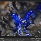 Linarite
fov 2.2 mm
(Autor: ploum)