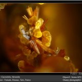 Cacoxenite and Beraunite
fov 1.1 mm
(Autor: ploum)