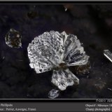 Phillipsite
fov 2.2 mm
(Autor: ploum)