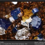 Boleïte
fov 2.2 mm
(Autor: ploum)