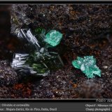Olivenite and Cornwallite
fov 2.2 mm
(Autor: ploum)