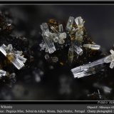 Willemite
fov 2.2 mm
(Autor: ploum)