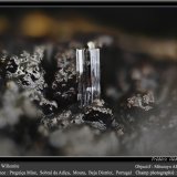 Willemite
fov 2.2 mm
(Autor: ploum)