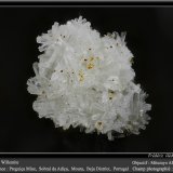 Willemite
fov 2.2 mm
(Autor: ploum)