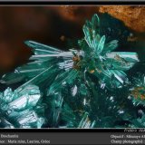 Brochantite
fov 2.2 mm
(Autor: ploum)