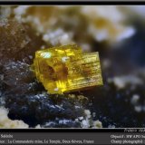 Saléeite
fov 3 mm
(Autor: ploum)