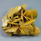 Wulfenite
7.0cm  x 6.0cm
(Autor: rweaver)