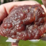 Rhodochrosite
Specimen size ~ 7 x 5 cm
(Autor: Tobi)