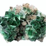 Fluorite, Quartz
Specimen size 15 cm, largest fluorite 2,5 cm
(Autor: Tobi)