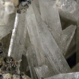 Olshanskyite
FOV 1.5 cm
(Autor: Cesar M. Salvan)