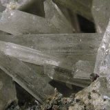 Olshanskyite
FOV 1.5 cm
(Autor: Cesar M. Salvan)
