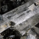 Olshanskyite
FOV 1.5 cm
(Autor: Cesar M. Salvan)