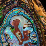 Opal (variety boulder opal)
7.5 x 8 x 2 cm
(Autor: MIM Museum)