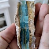 Opal
8 cm
(Autor: Tobi)