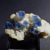 Fluorite, Quartz
71 mm x 48 mm x 46 mm
(Autor: Don Lum)