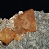 Scheelite
(Autor: Joseph DOliveira)