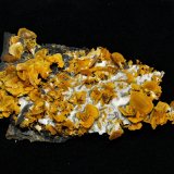 Wulfenite
10x9.2x2 cm's
(Autor: Joseph DOliveira)