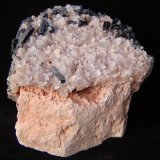 (Autor: Debbie Woolf)