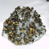 Chalcopyrite
6.5x5.4x2 cm's
(Autor: Joseph DOliveira)