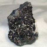 Enargite
7x5x2.4 cm's
(Autor: Joseph DOliveira)