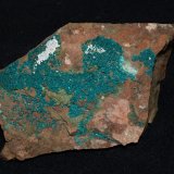 Dioptase
8.5x5.7x1.5 cm's
(Autor: Joseph DOliveira)
