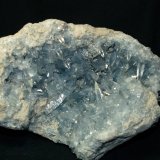 Celestine
17x12x12.5 cm's
(Autor: Joseph DOliveira)