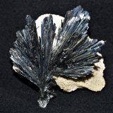 Stibnite
5.5 x 6 x 3.5 cm
(Autor: Joseph DOliveira)