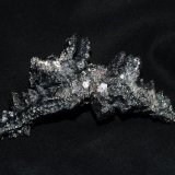 Acanthite
10x4x2 cms
(Autor: Joseph DOliveira)