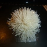 Gypsum
7 cm x 5 cm x 4 cm
(Autor: Firmo Espinar)