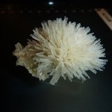 Gypsum
7 cm x 5 cm x 4 cm
(Autor: Firmo Espinar)