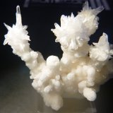 Aragonite
47mm x 50mm x 33mm
(Autor: Firmo Espinar)