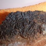 Siderite
50mm x 42mm x 33mm
(Autor: Firmo Espinar)