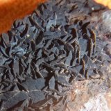 Siderite
50mm x 42mm x 33mm
(Autor: Firmo Espinar)