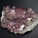 Fluorite, Pyrite
143 mm x 87 mm
(Autor: Don Lum)