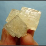 Apophyllite (Group)
34 x 30 x 24 mm
(Autor: Pierre Joubert)