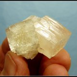 Apophyllite (Group)
34 x 30 x 24 mm
(Autor: Pierre Joubert)