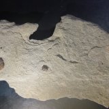 Pyrite
15cm x 7cm x 1cm
(Autor: Firmo Espinar)