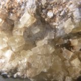 Fluorite
FOV = 57 mm
(Autor: Firmo Espinar)
