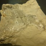 Celestine
64mm x 53mm x 36mm
(Autor: Firmo Espinar)