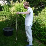 _Natrix natrix (of course a snake, not a mineral ;-))
(Autor: Tobi)