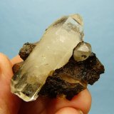 Quartz with goethite
45 x 35 x 27 mm
(Autor: Pierre Joubert)